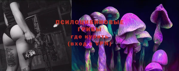 бошки Алзамай