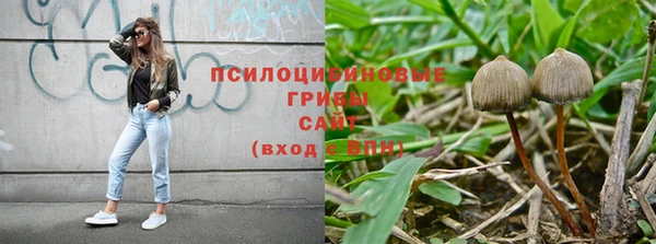 каннабис Алексеевка