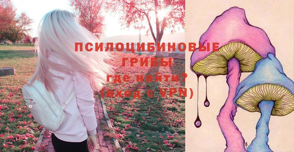 бошки Алзамай